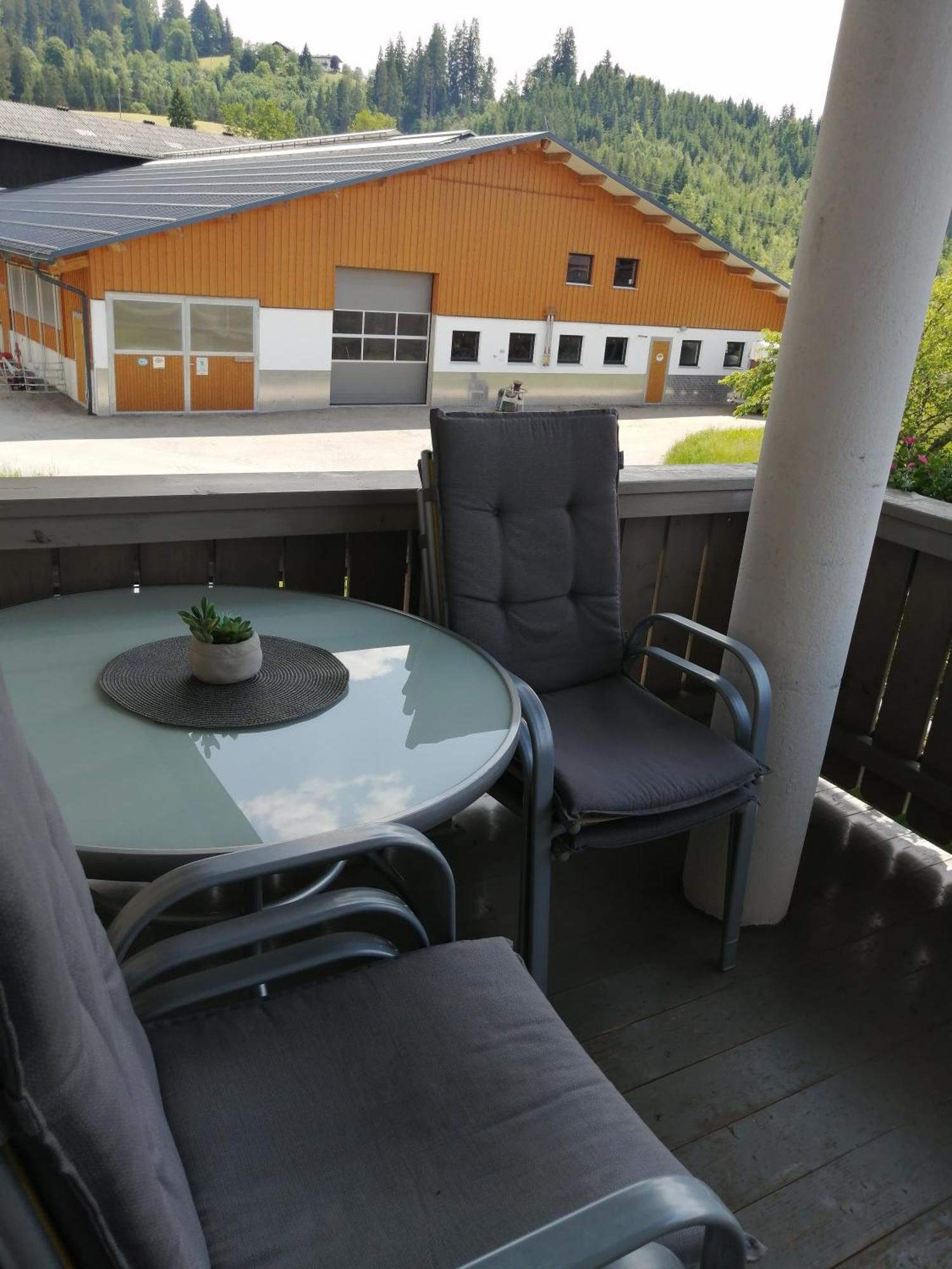 Oberhauser Apartment *