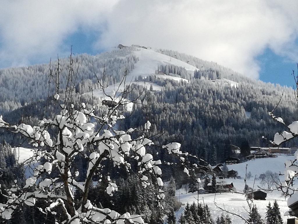 Oberhauser Westendorf